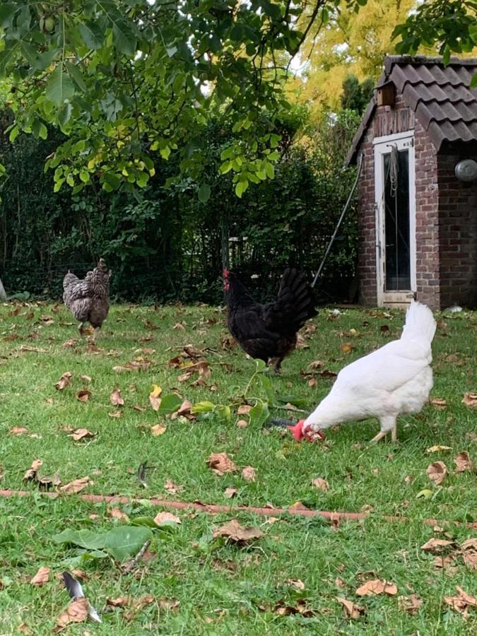 Leuk Vakantiehuisje 6P Brunssum Ngoại thất bức ảnh