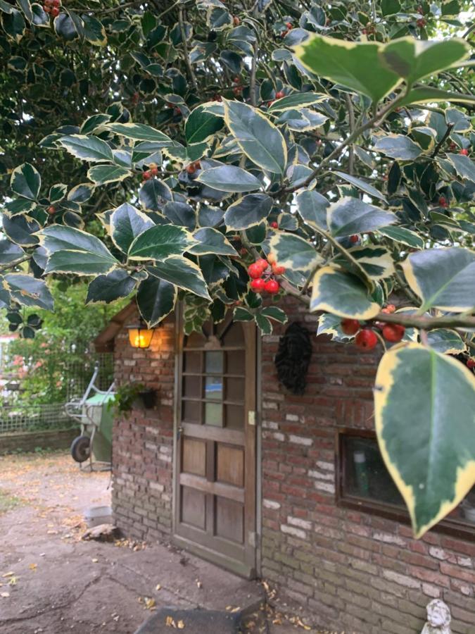 Leuk Vakantiehuisje 6P Brunssum Ngoại thất bức ảnh
